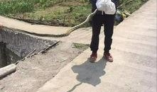 筠连网友爆料最新新闻