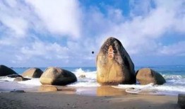 海角论坛最新爆料,揭秘最新热门事件内幕